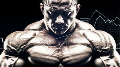 Bulking Sem Filtro: A Verdade Que os Gurus Fitness Escondem!