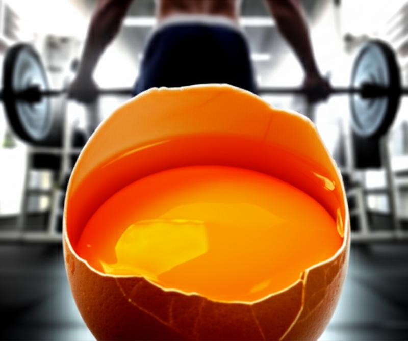 Ovo: O Alimento Secreto Para Músculos de Atleta (e Barato!)